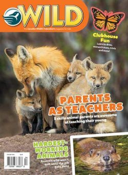 Wild Magazine for Kids – August-September 2020