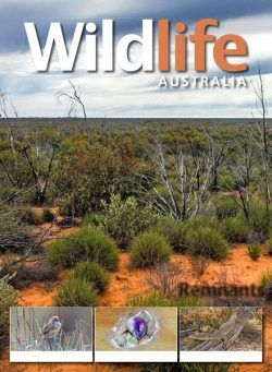 Wildlife Australia – Volume 56 N 1 – Autumn 2019