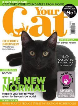 Your Cat – November 2021