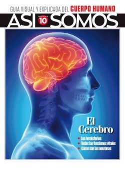 Asi Somos – El cuerpo humano – diciembre 2021