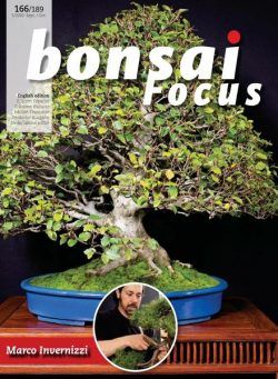 Bonsai Focus (English Edition) – September-October 2020