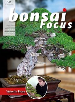 Bonsai Focus (German Edition) – Mai-Juni 2020