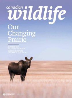 Canadian Wildlife – September-October 2021