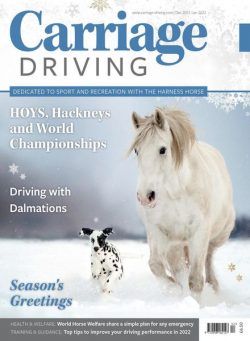 Carriage Driving – December 2021