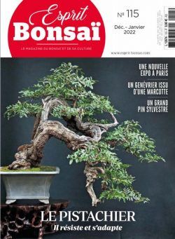 Esprit Bonsai – decembre 2021