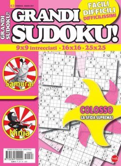 Grandi Sudoku – febbraio 2021