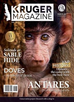 Kruger Magazine – December 2021