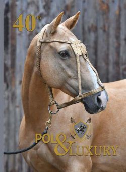 Polo & Luxury – December 2021