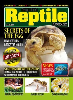 Practical Reptile Keeping – November 2021