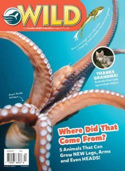 Wild Magazine for Kids – August-September 2021