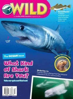 Wild Magazine for Kids – June-July 2019