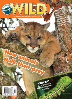 Wild Magazine for Kids – October-November 2021