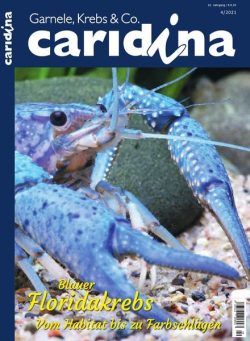 Caridina – Nr 4 2021