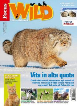 Focus Wild – gennaio 2022