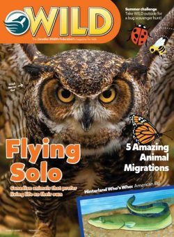 Wild Magazine for Kids – August-September 2019