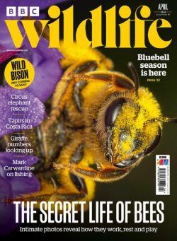 BBC Wildlife – April 2022