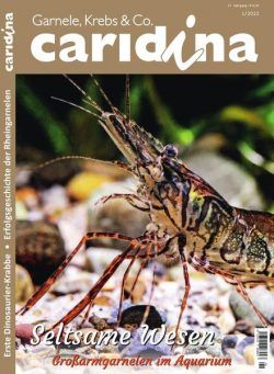 Caridina – Nr 1 2022