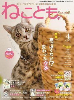 Neko Tomo – 2022-02-01
