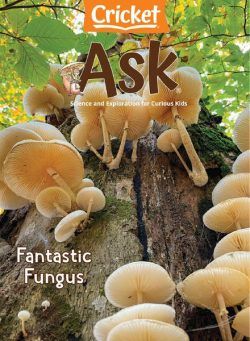 Ask – May 2022