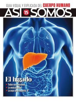 Asi Somos – El cuerpo humano – julio 2022