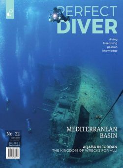 Perfect Diver – July-August 2022