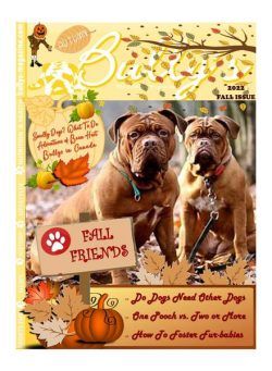 Bully’s The Bulldog Magazine – Fall 2022