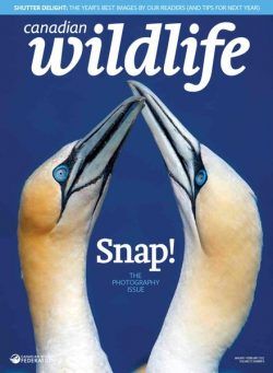 Canadian Wildlife – January-February 2022