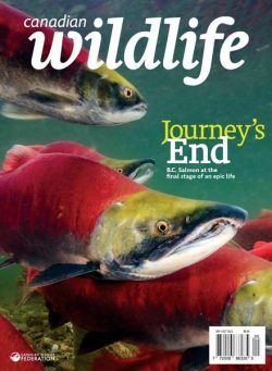 Canadian Wildlife – September-October 2022