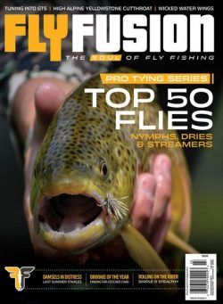 Fly Fusion – Fall 2022