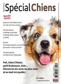 Special chiens – 01 septembre 2022