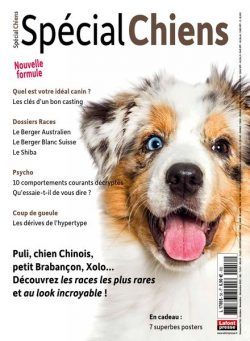Special Chiens – Octobre-Decembre 2022