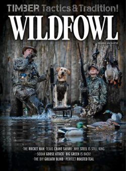 Wildfowl – October 2022