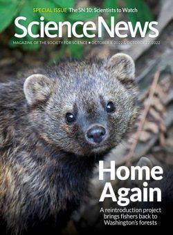 Science News – 8 October 2022