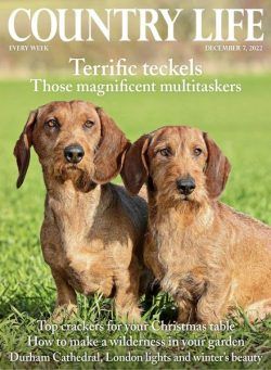 Country Life UK – December 07 2022