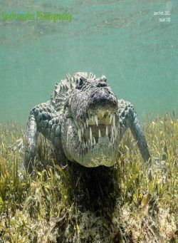 Underwater Photography – January-February 2023
