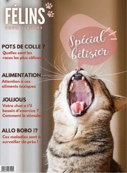Felins pour l’autre – janvier 2023