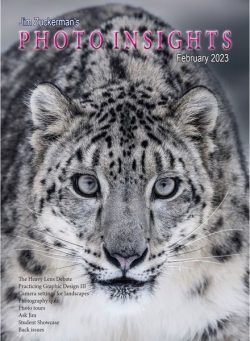 Photo Insights – Feburary 2023