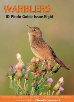 Bird ID Photo Guides – 12 May 2023