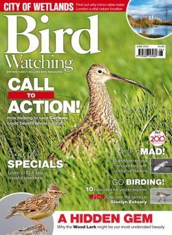 Bird Watching UK – June 2023