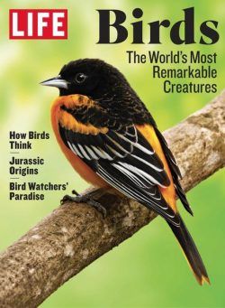 LIFE The Beauty of Birds – April 2023