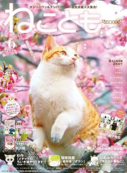 Neko Tomo – 2023-04-01