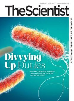 The Scientist – Summer 2023
