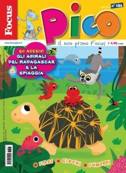 Focus Pico – 05 luglio 2023