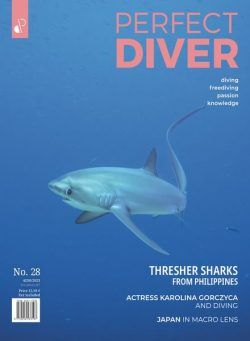 Perfect Diver – July-August 2023