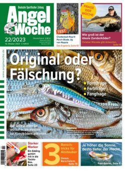 Angel Woche – 13 Oktober 2023