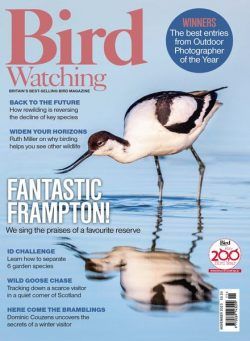 Bird Watching UK – November 2023