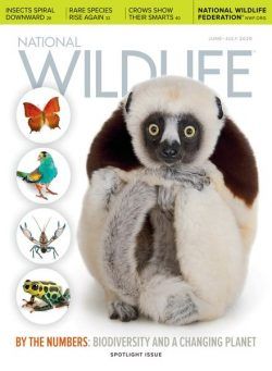 National Wildlife – June-July 2020