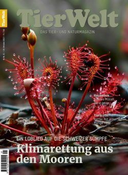 TierWelt – 21 Oktober 2023