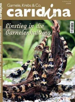 Caridina – November 2023