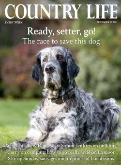 Country Life UK – 22 November 2023